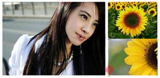 花容月貌视频,探寻古典美人的绝代风华